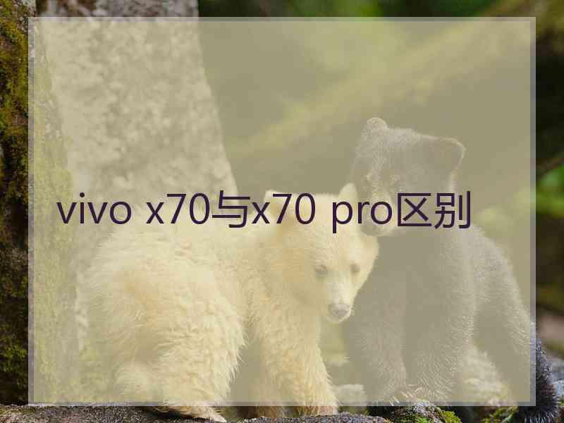 vivo x70与x70 pro区别