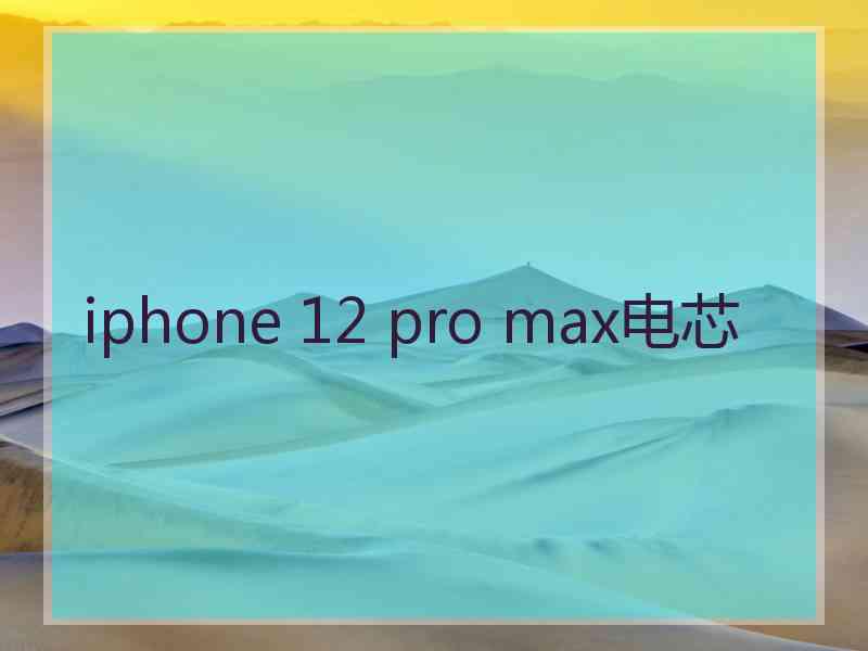 iphone 12 pro max电芯