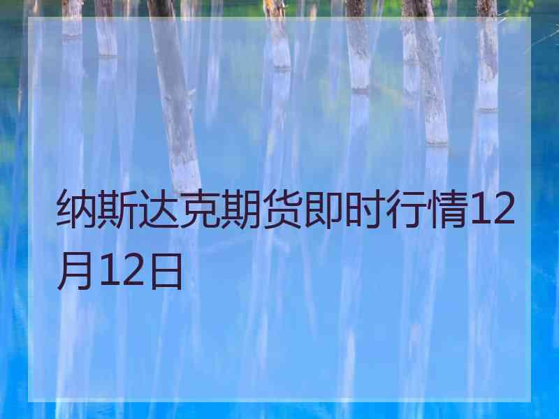 纳斯达克期货即时行情12月12日