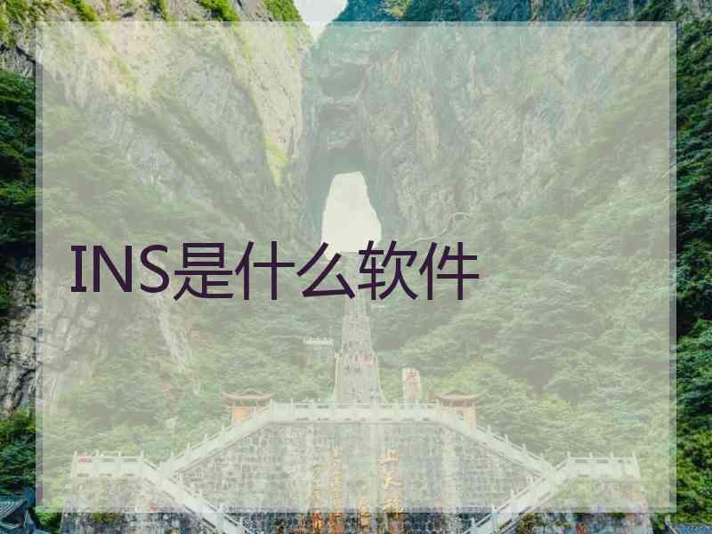 INS是什么软件