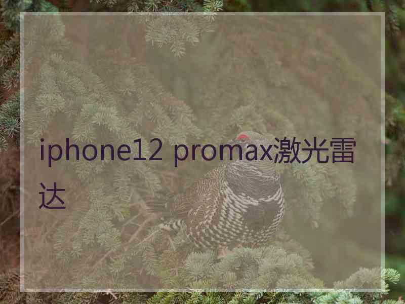 iphone12 promax激光雷达