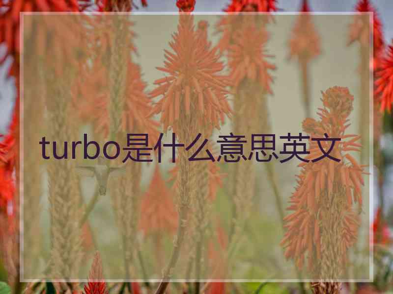 turbo是什么意思英文