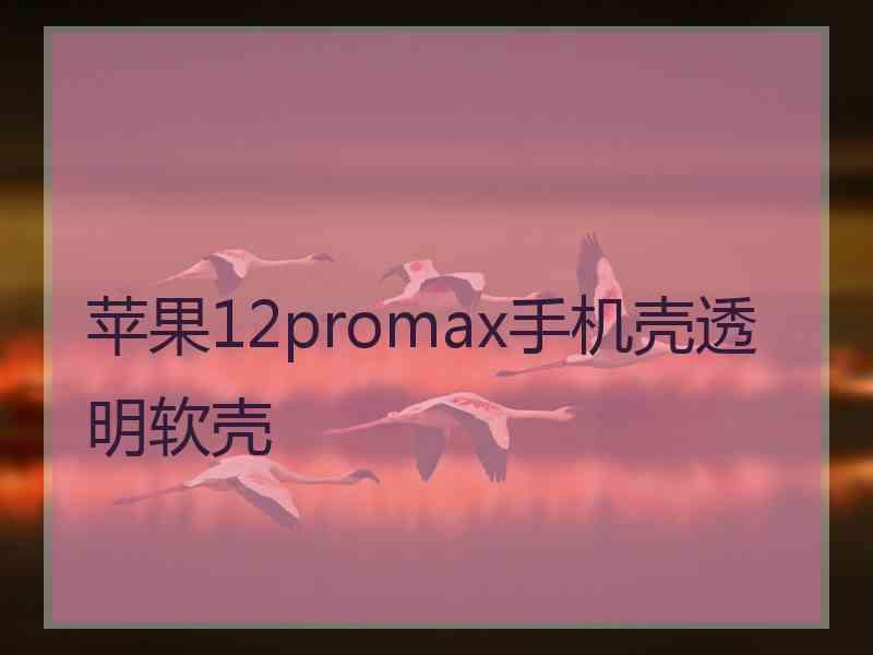 苹果12promax手机壳透明软壳