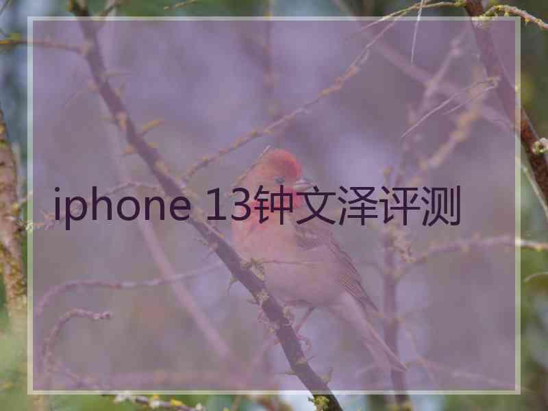 iphone 13钟文泽评测