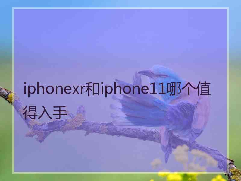 iphonexr和iphone11哪个值得入手