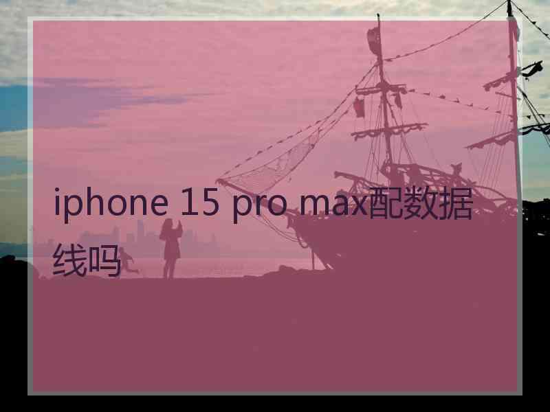 iphone 15 pro max配数据线吗