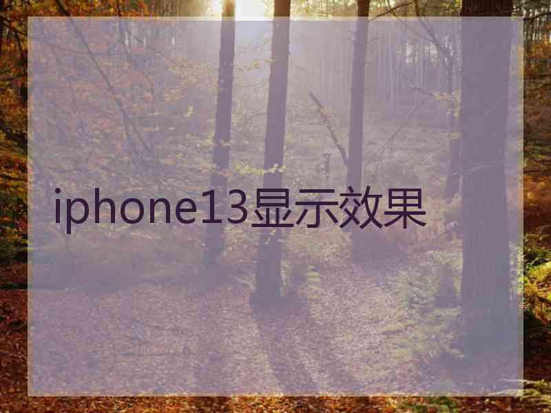 iphone13显示效果