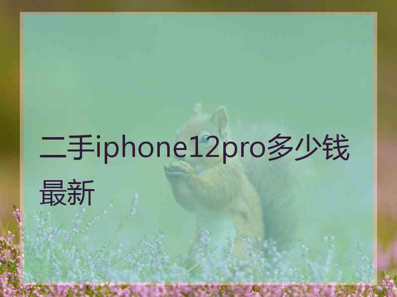 二手iphone12pro多少钱最新