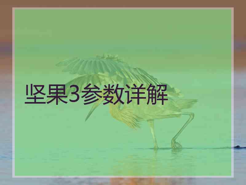 坚果3参数详解