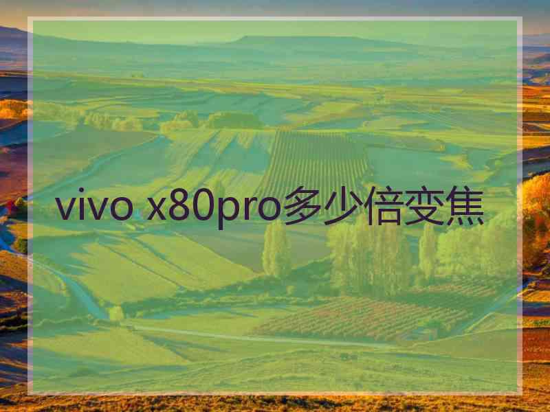 vivo x80pro多少倍变焦