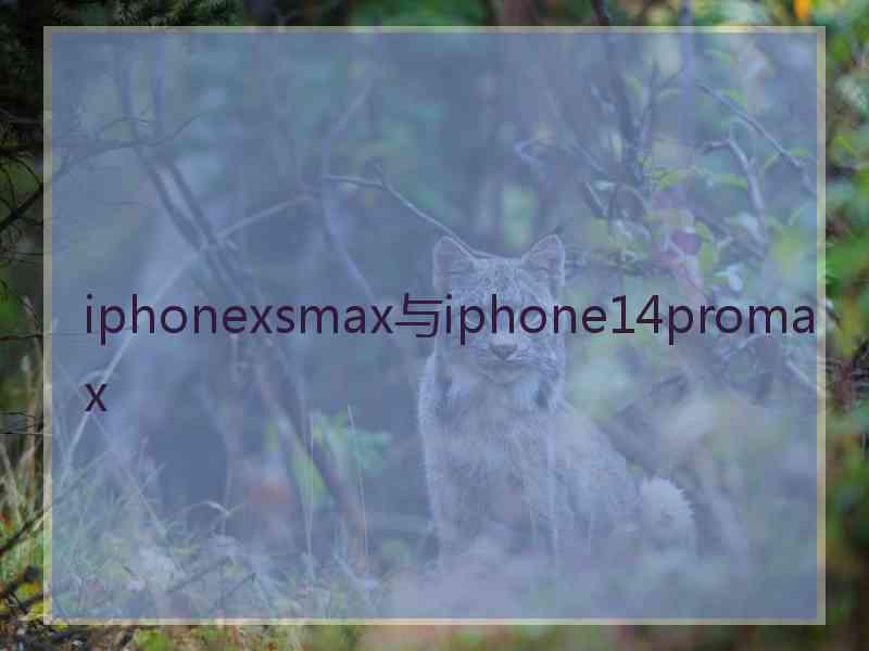 iphonexsmax与iphone14promax