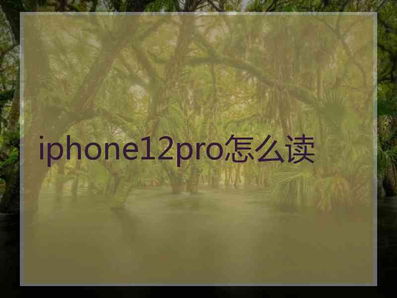 iphone12pro怎么读