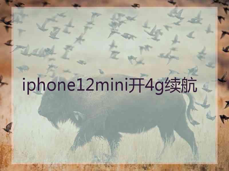 iphone12mini开4g续航