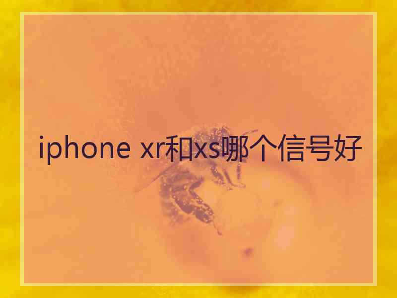 iphone xr和xs哪个信号好