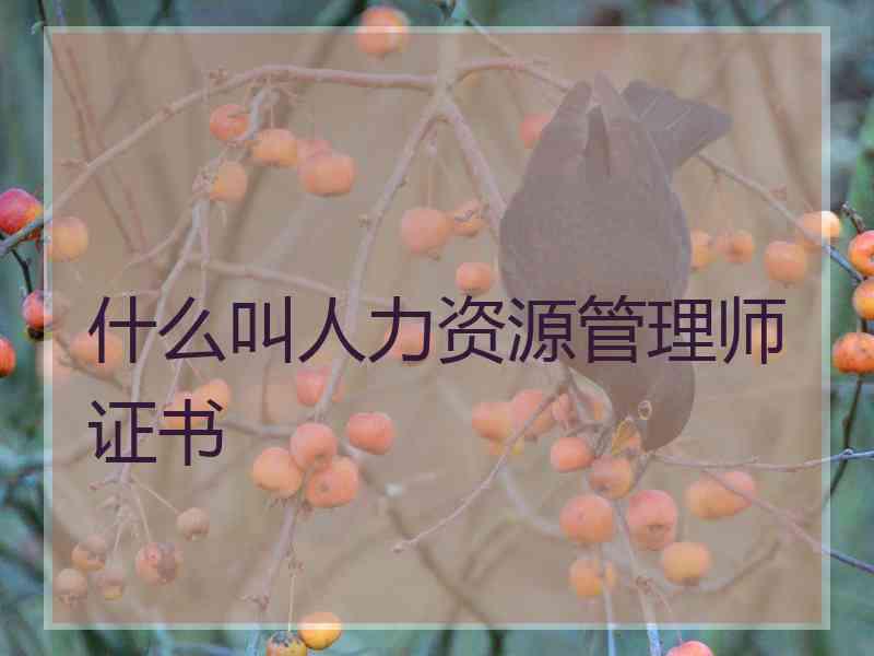 什么叫人力资源管理师证书