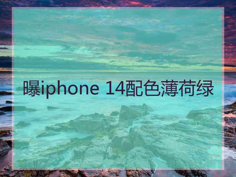 曝iphone 14配色薄荷绿