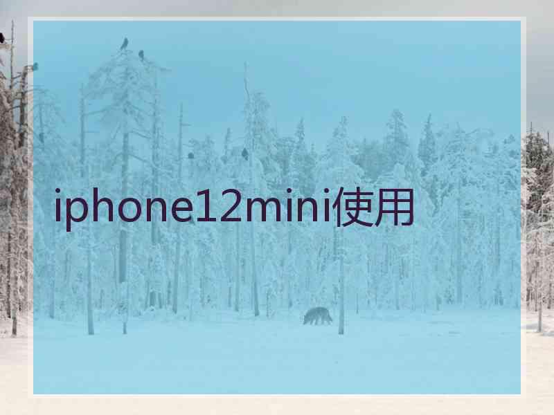 iphone12mini使用