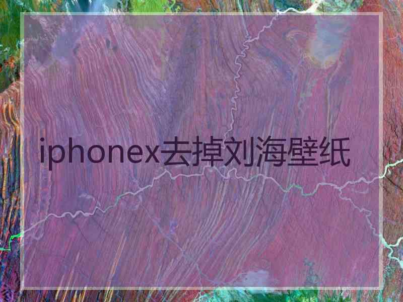 iphonex去掉刘海壁纸