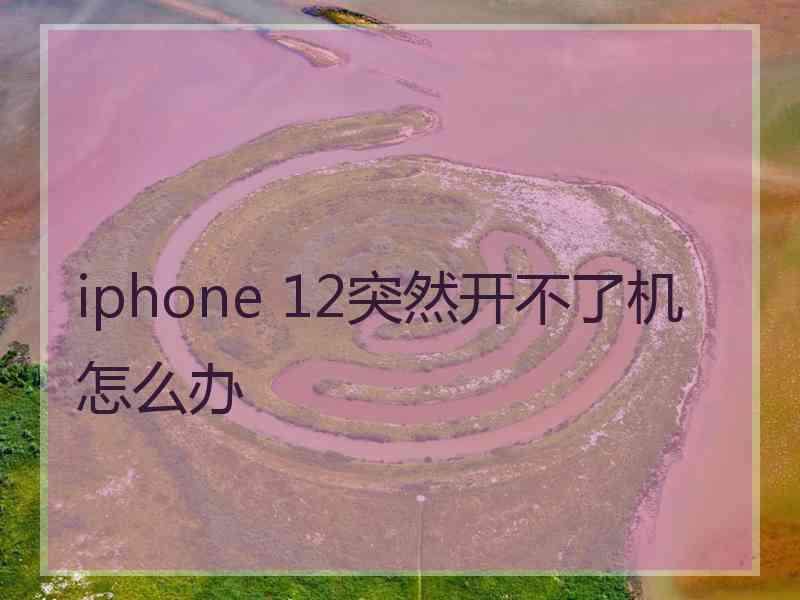 iphone 12突然开不了机怎么办