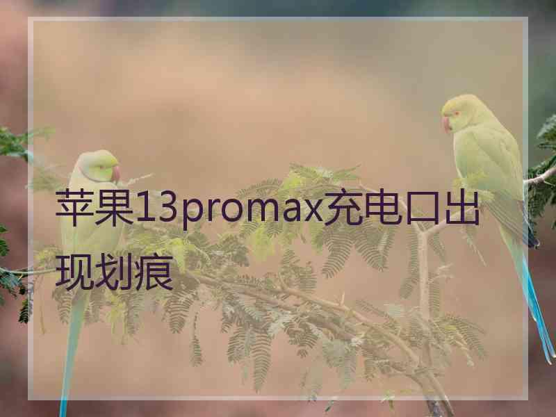 苹果13promax充电口出现划痕