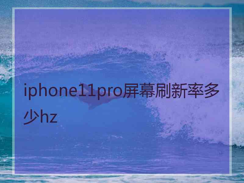 iphone11pro屏幕刷新率多少hz