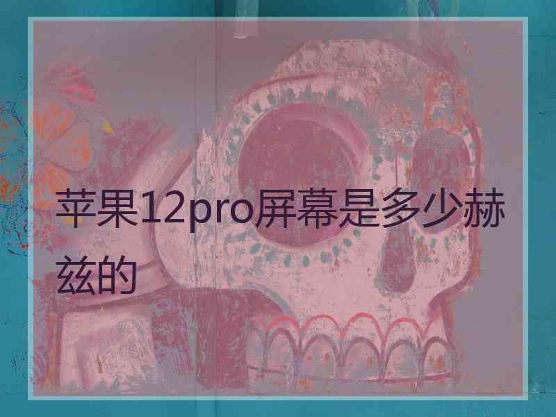 苹果12pro屏幕是多少赫兹的