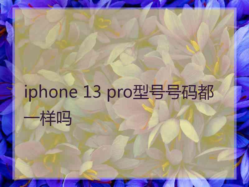 iphone 13 pro型号号码都一样吗