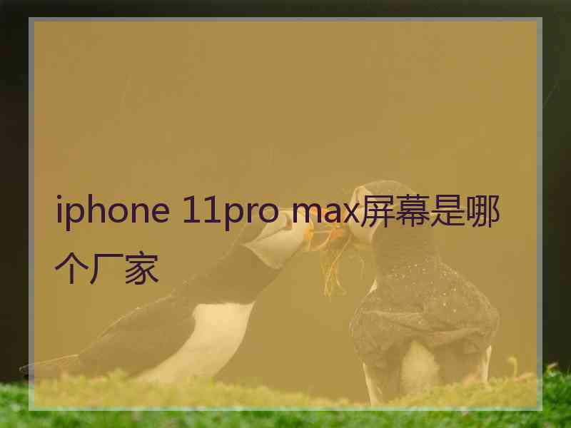 iphone 11pro max屏幕是哪个厂家