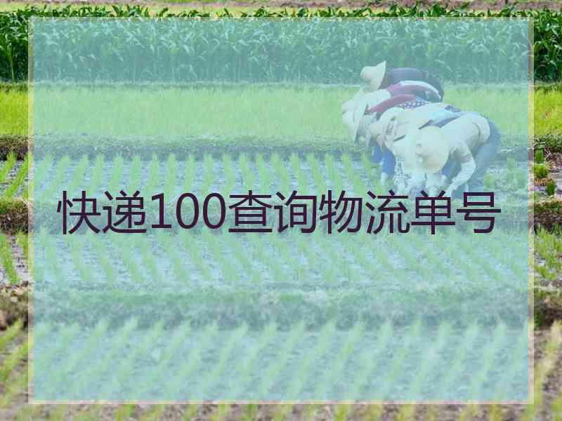 快递100查询物流单号