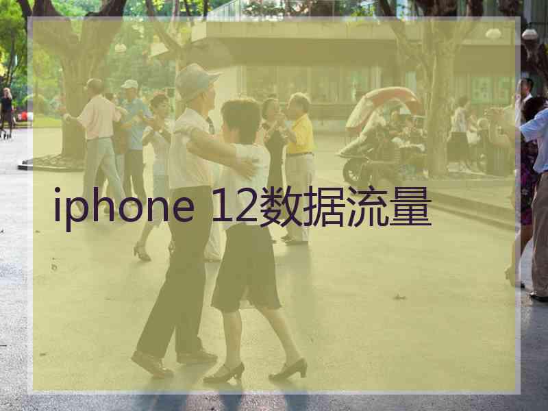 iphone 12数据流量