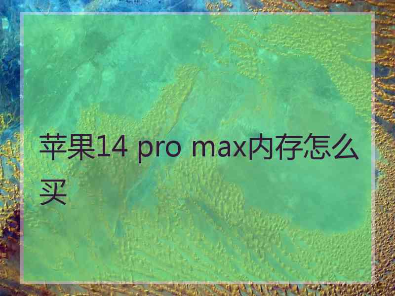 苹果14 pro max内存怎么买