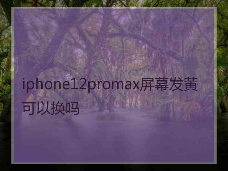 iphone12promax屏幕发黄可以换吗