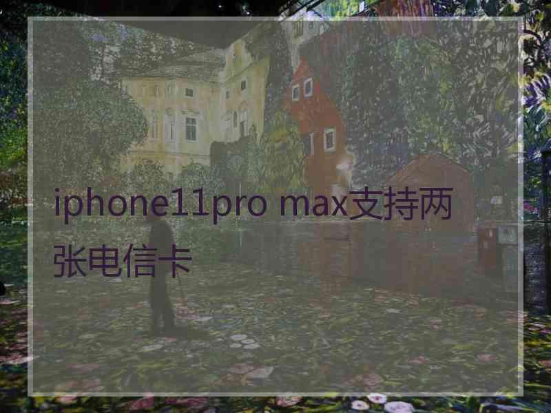 iphone11pro max支持两张电信卡