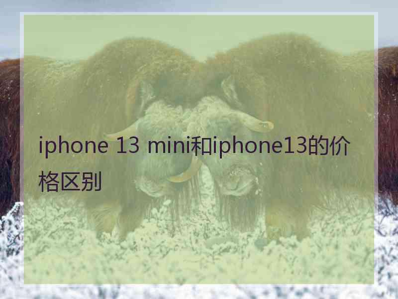 iphone 13 mini和iphone13的价格区别