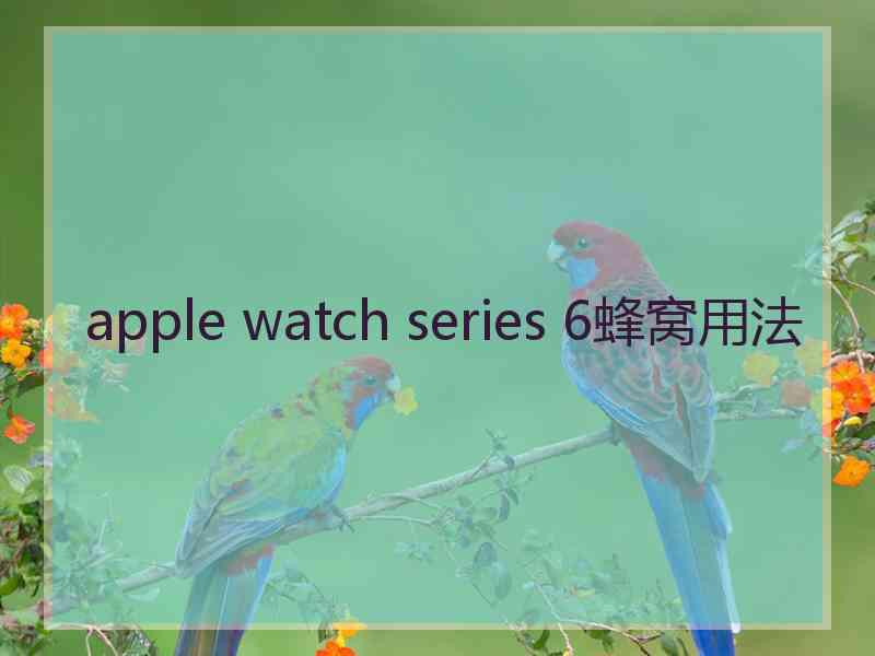 apple watch series 6蜂窝用法