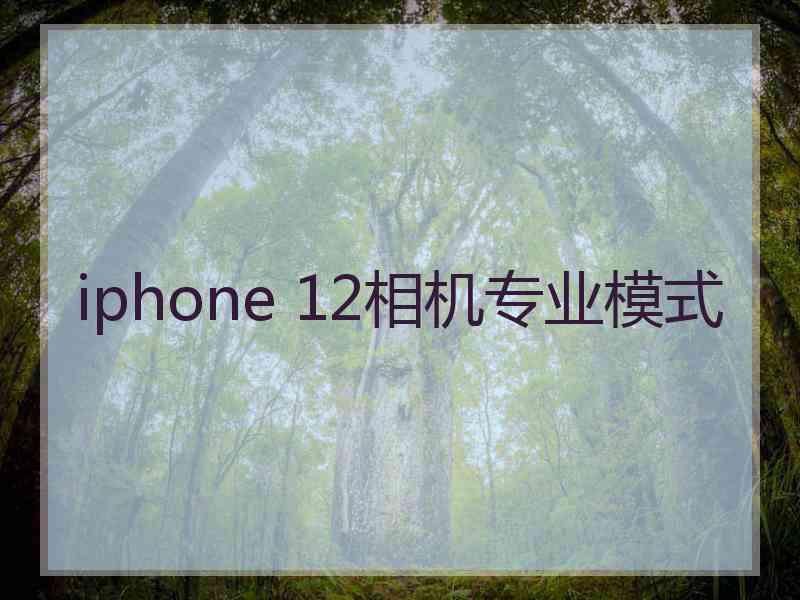 iphone 12相机专业模式