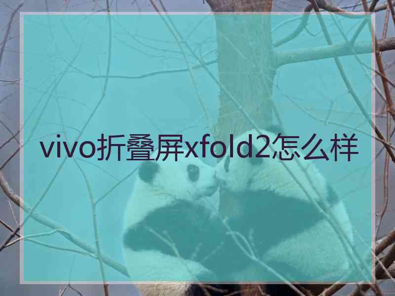 vivo折叠屏xfold2怎么样