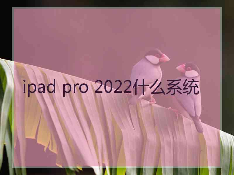 ipad pro 2022什么系统