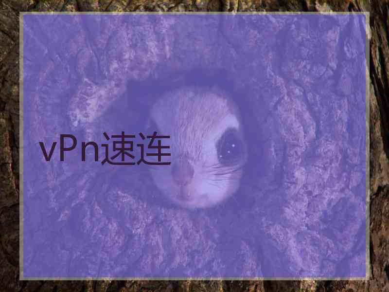 vPn速连