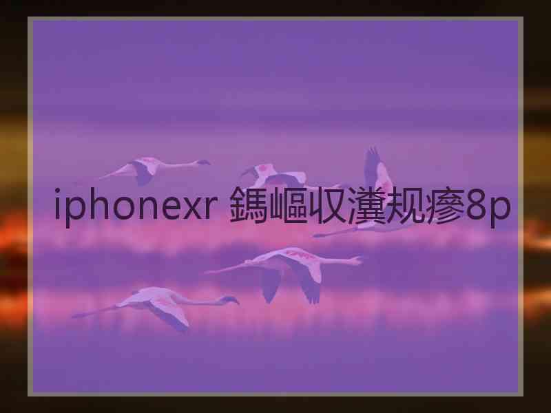 iphonexr 鎷嶇収瀵规瘮8p