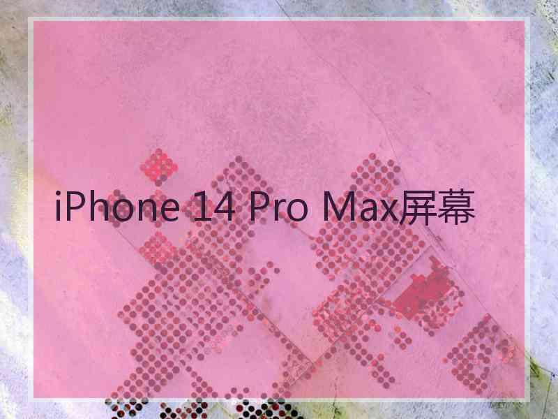 iPhone 14 Pro Max屏幕