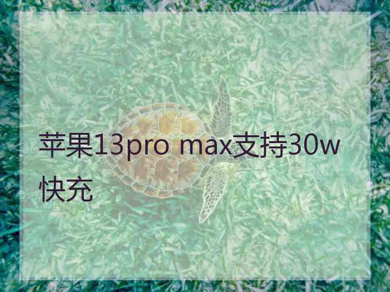 苹果13pro max支持30w快充