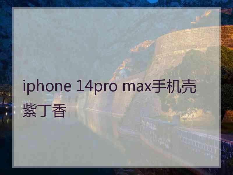 iphone 14pro max手机壳紫丁香