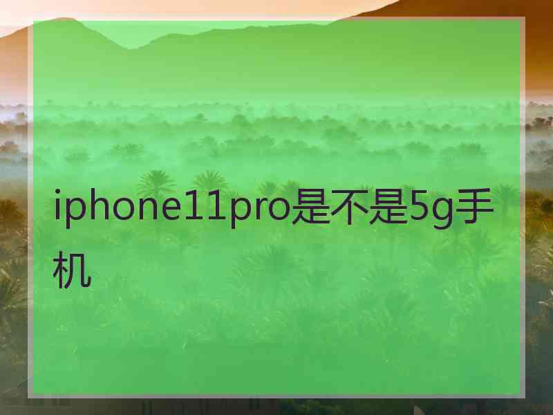 iphone11pro是不是5g手机