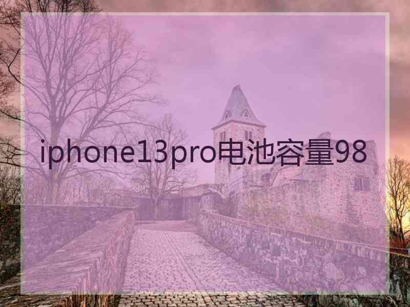 iphone13pro电池容量98