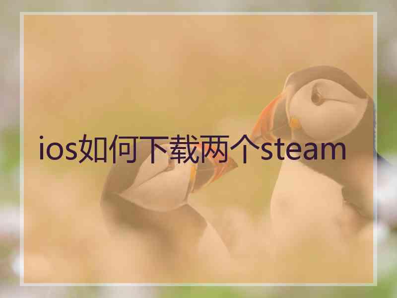 ios如何下载两个steam