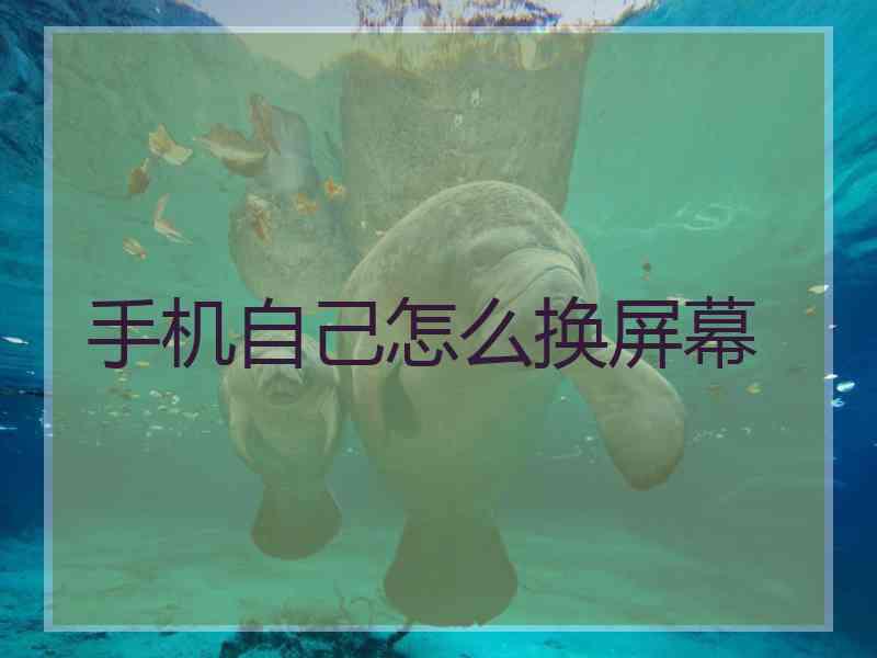 手机自己怎么换屏幕