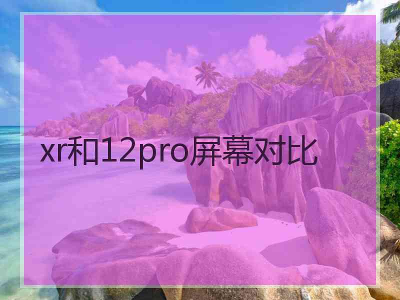 xr和12pro屏幕对比