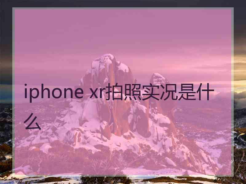 iphone xr拍照实况是什么