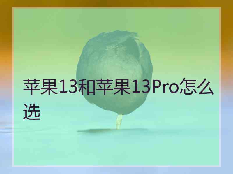 苹果13和苹果13Pro怎么选